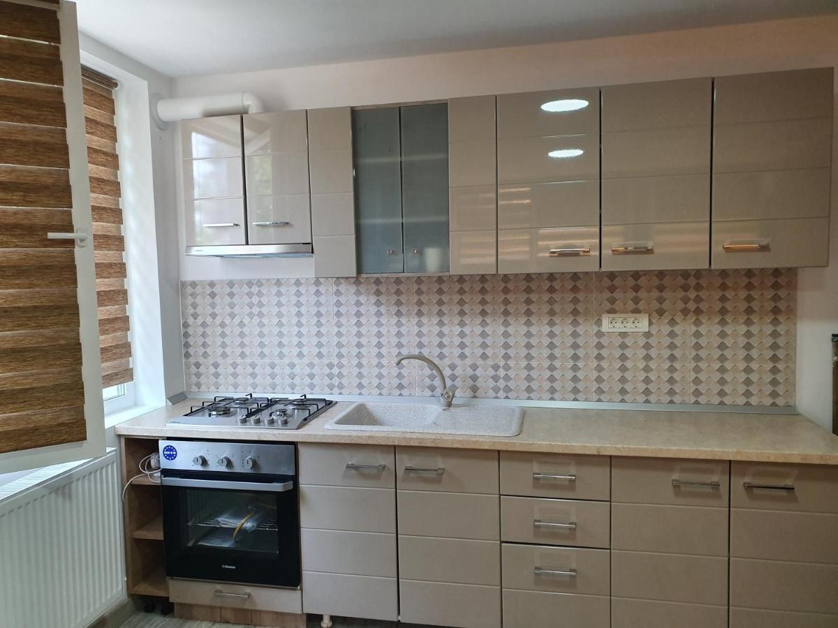 Apartament Negris Birlad Ngoại thất bức ảnh