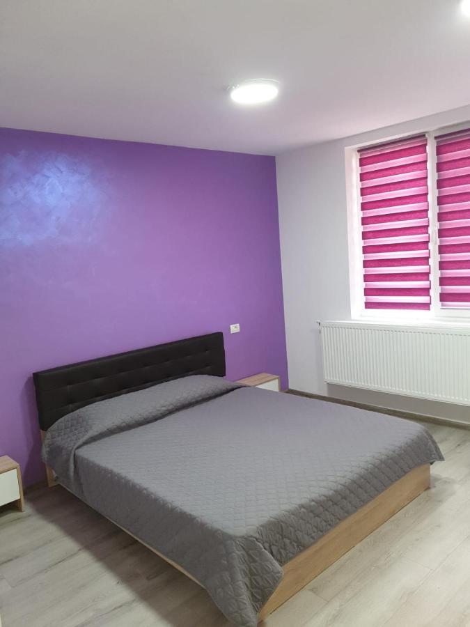 Apartament Negris Birlad Ngoại thất bức ảnh